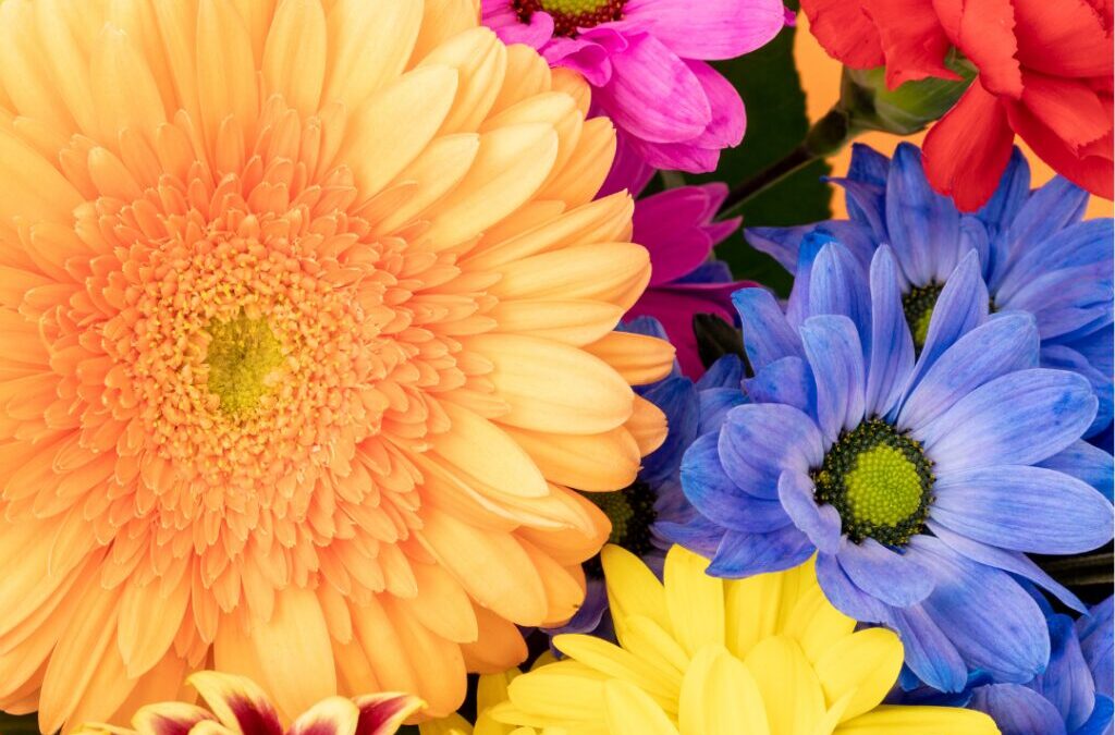 Simboli cvijeća u Bibliji