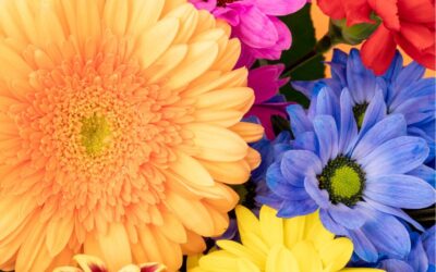 Simboli cvijeća u Bibliji