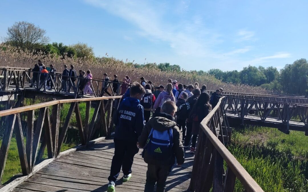 Drugašići na jednodnevnom izletu u Osijeku i Parku prirode Kopački rit