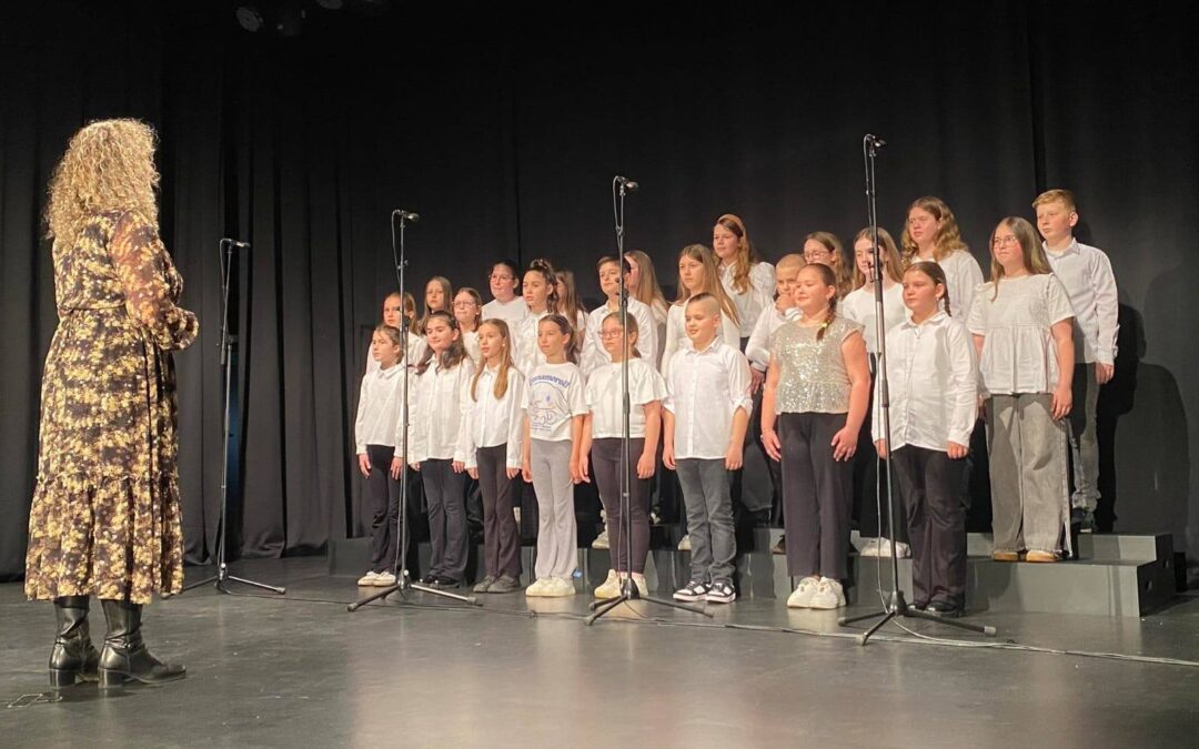 Mali zbor pozvan na državno natjecanje